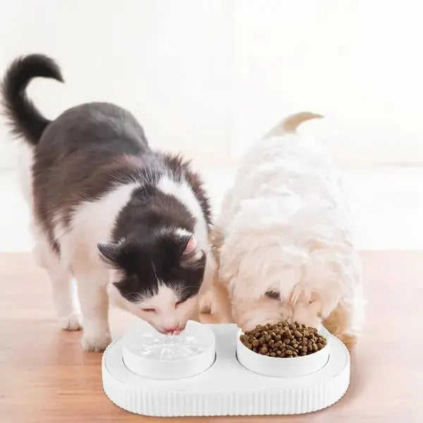 Heated Water Bowl For Dogs And Cats Ceramic Heated Pet Water Bowl Meifu Market