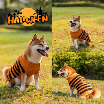 Halloween Dog Sweaters Pet Costume Teddy Warm Leisure Sweater Cosplay Clothes For Dogs Pets Outfits Meifu Market