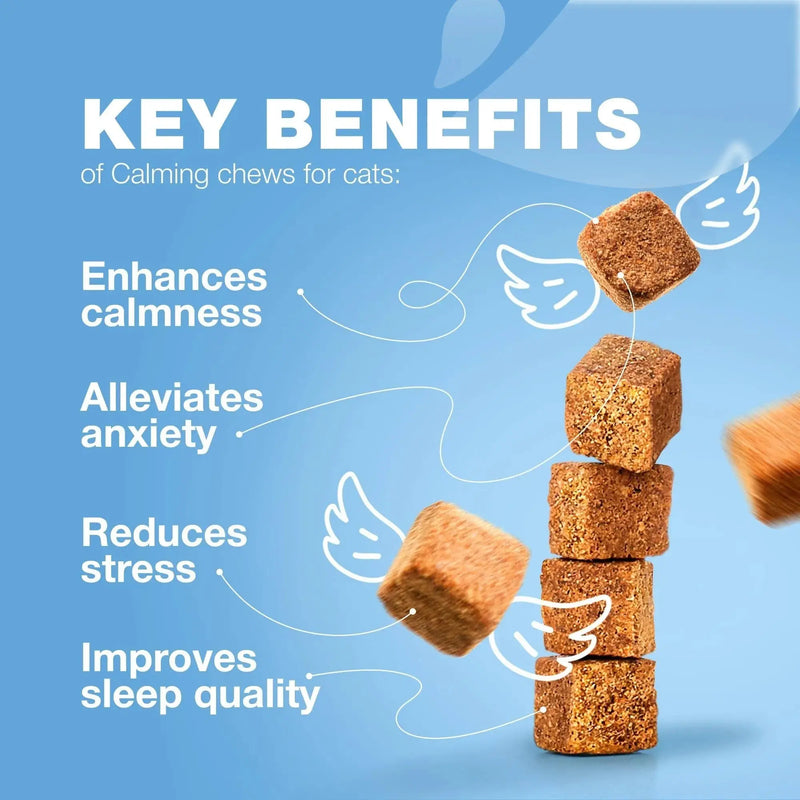 Cat Calming Treats Hemp Calming Care For Cats Cat Melatonin Soft Chews With Hemp Seed Oil And Probiotics Cat Anxiety Relief Storms Travel Grooming Separation Calming Chews For Cats Meifu Market