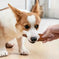 Pet-shaped Chik Chicken Wrapped In Rawhide Chewy Natural Meat Snack For Dogs Suitable For All Sizes. Meifu Market