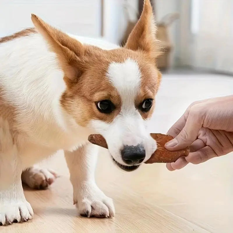 Pet-shaped Chik Chicken Wrapped In Rawhide Chewy Natural Meat Snack For Dogs Suitable For All Sizes. Meifu Market