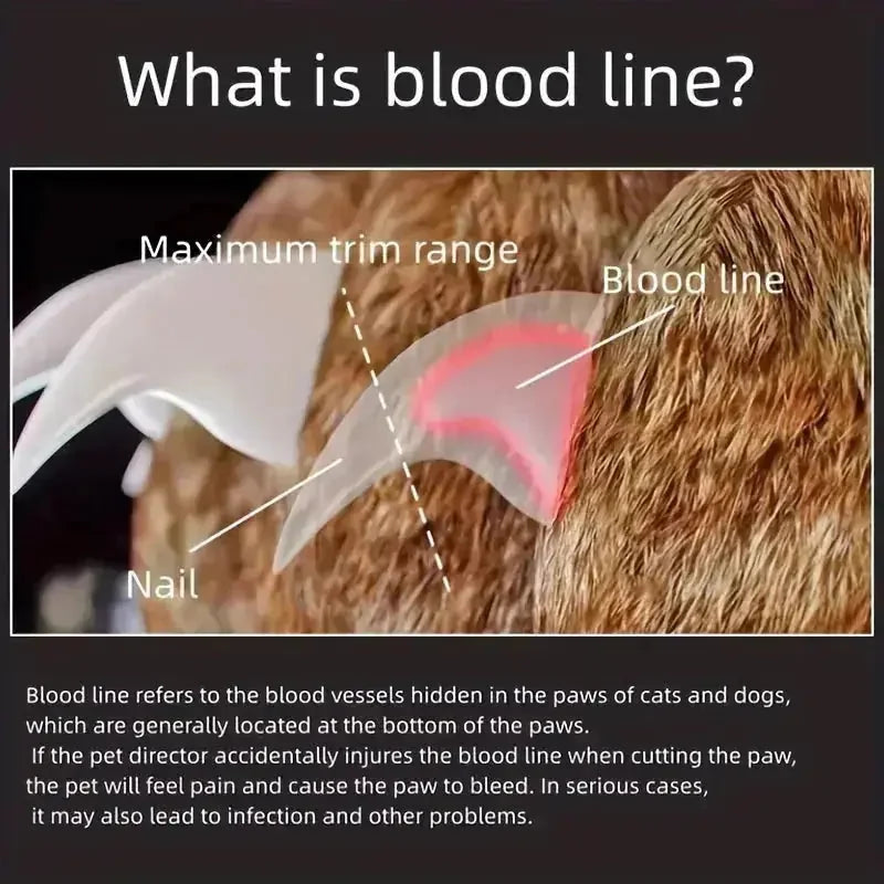 rechargeable pet nail clipper | led light safe grooming | quick charge cat nail trimmer | energy saving