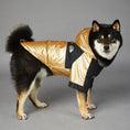Dog Large Dog Raincoat Pet Jacket Meifu Market