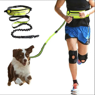 Hands Free Dog Leash Pet Walking And Training Belt With Shock Absorbing Bungee Leash For Up To 180lbs Large Dogs Phone Pocket And Water Bottle Holder Meifu Market