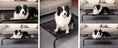 elevated dog bed for camping | heavy-duty aluminum frame dog cot | extra large portable dog bed | energy saving