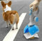 automatic pet toilet | self-cleaning litter box | odor control system | ultrasonic cleaning