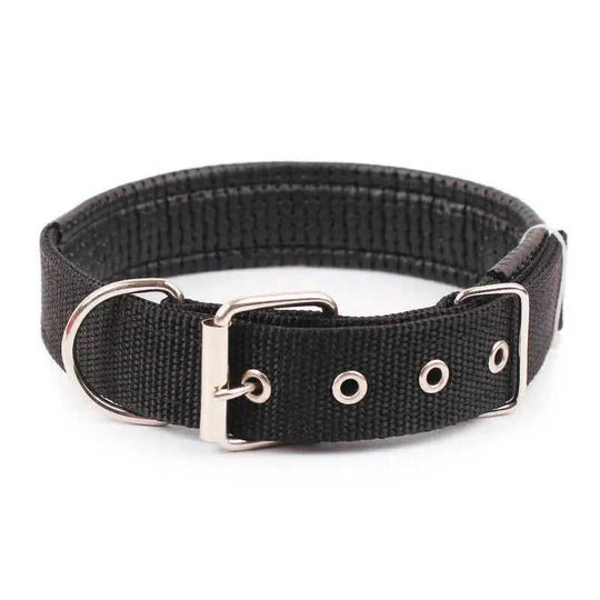 Pp Braid Lined Polypropylene PET Foam Dog Collar Black - scale comparison view