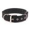 Pp Braid Lined Polypropylene PET Foam Dog Collar Black - scale comparison view