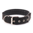 Pp Braid Lined Polypropylene PET Foam Dog Collar Meifu Market