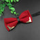 metal bow tie for men | double layer polyester bowtie | classic butterfly neckwear | energy saving