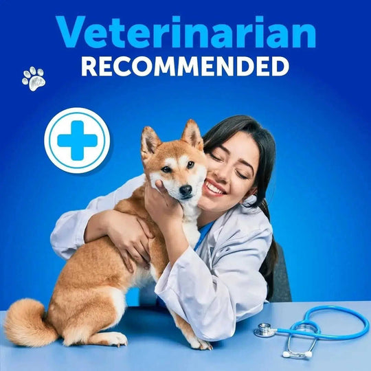 Do Not Sell On Amazon Dog Allergy Relief Chews Itching Skin Relief For Dogs Fish Oil 3 Seasonal Allergies Pills Skin & Coa...