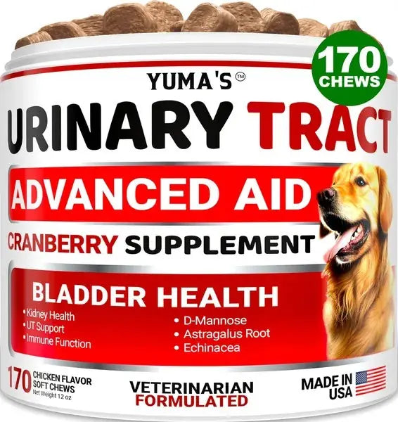 Dog UTI Treatment 170 Treats Cranberry Supplement For Dogs Bladder Control For Dogs Meifu Market