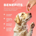 Dog Flea And Tick Treatment Chews FleaTick Prevention For Dogs Chewables Natural Dog Flea & Tick Control Soft Treats Immune Support Supplement Meifu Market