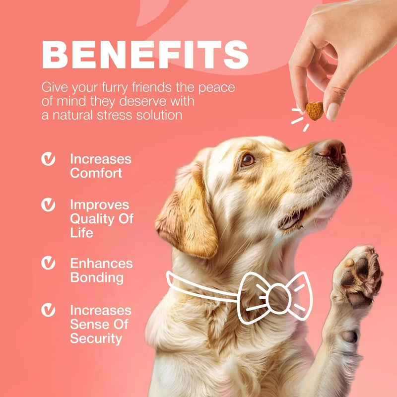 Dog Flea And Tick Treatment Chews FleaTick Prevention For Dogs Chewables Natural Dog Flea & Tick Control Soft Treats Immune Support Supplement Meifu Market