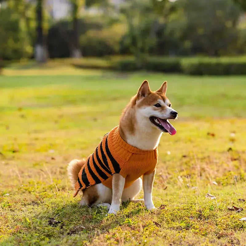 Halloween Dog Sweaters Pet Costume Teddy Warm Leisure Sweater Cosplay Clothes For Dogs Pets Outfits Orange Small Pumpkin -...