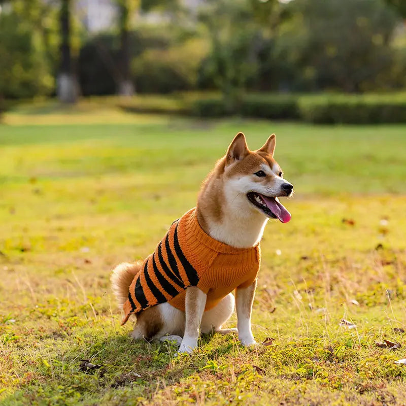 Halloween Dog Sweaters Pet Costume Teddy Warm Leisure Sweater Cosplay Clothes For Dogs Pets Outfits Meifu Market