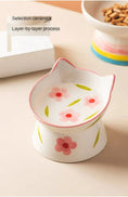 ceramic pet bowl | elevated dog bowl | inclined cat dish | ultrasonic cleaning