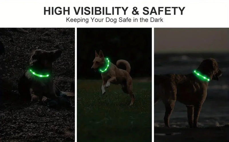 rechargeable pet collar | led dog collar | glowing cat collar | ultrasonic cleaning