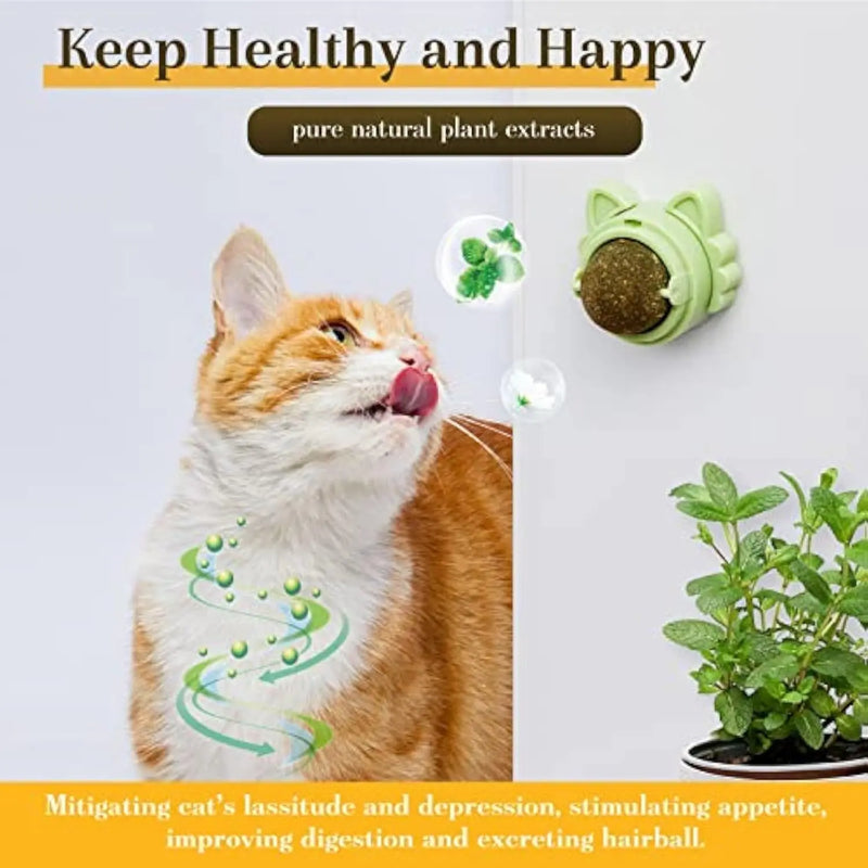 Catnip Balls That Stick On Wall Catnip Balls For Cat Catnip Toys For Cats Healthy Kitty Teeth Cleaning Dental Chew Toys Cat Wall Treats Meifu Market