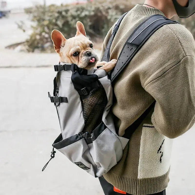 Pet Dog Carrier Bag Carrier For Dogs Backpack Out Double Shoulder Portable Travel Backpack Outdoor Dog Carrier Bag Travel Meifu Market