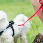 leak-proof dog waste bags | biodegradable pet poop bags | extra-large capacity dog bags | energy saving
