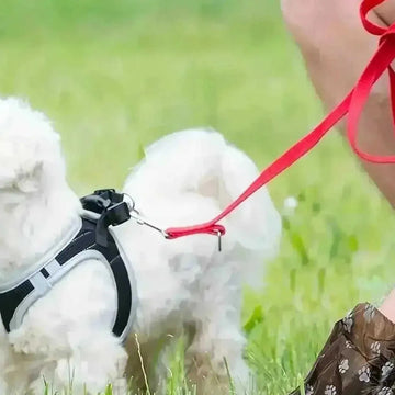 150-600pcs Dog Poop Bags | Cartoon Paw Print Leak-Proof Waste Bags