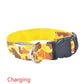 Camouflage pet supplies luminous dog collar Meifu Market
