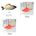 Electric Fish Cat Toy - Jumping Simulation Interactive USB Rechargeable Meifu Market