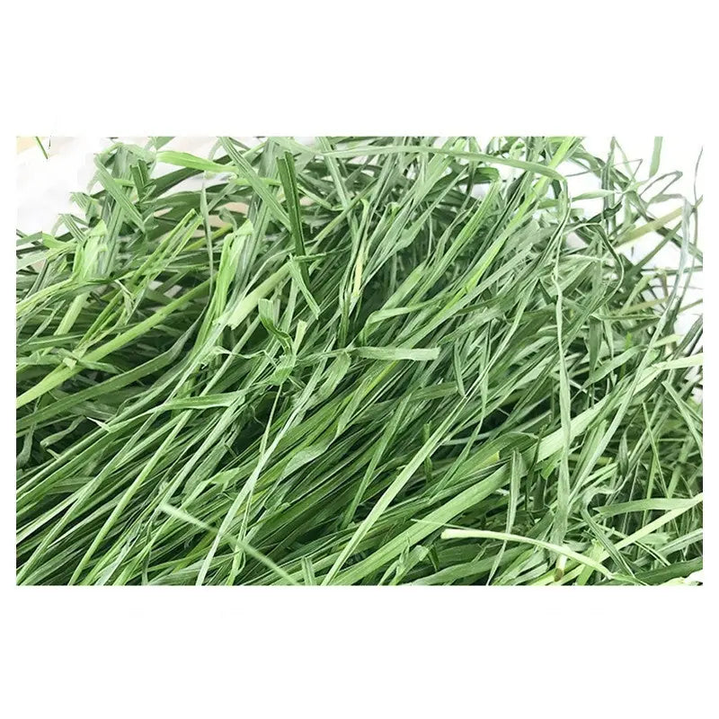 Dried Timothy FCL Hay Snacks Feed Chinchilla Guinea Pig Food Rabbits Pet Products Meifu Market
