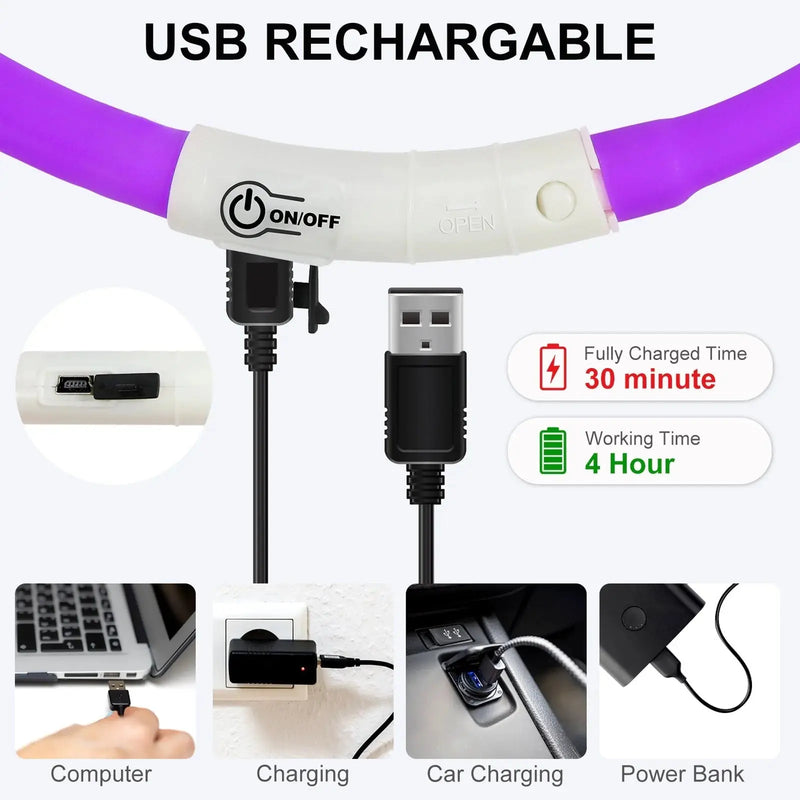 rechargeable pet collar | led dog collar | glowing cat collar | ultrasonic cleaning