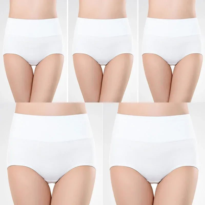 Women's Underwear High Waist Shaping Underwear Plus Size Meifu Market