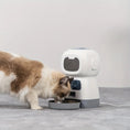 timed automatic pet feeder | large capacity pet feeder | visible food level feeder | energy saving
