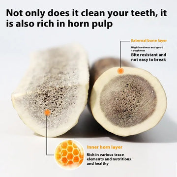 Bite Resistant And Teeth Cleaning Pet Snacks Meifu Market