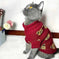Adorable Cartoon Bear Pet Hoodie - Soft, Cozy, and Festive Christmas Sweater for Cats and Dogs - Keep Your Pet Warm and...