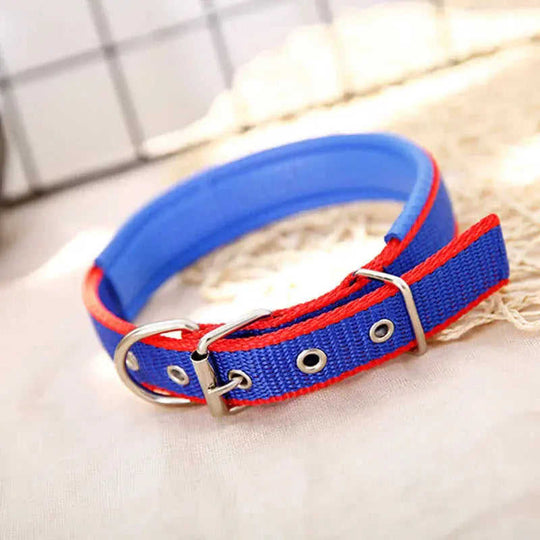 Pp Braid Lined Polypropylene PET Foam Dog Collar Black - styled petbest foam dog collar traction collar pp webbing lining ...