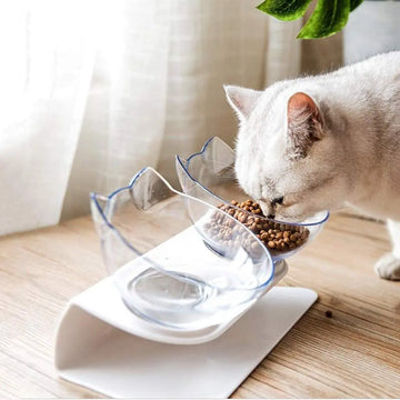 Non Slip Double Cat Bowl With Raised Stand Pet Food Cat Feeder Protect Cervical Vertebra Dog Bowl Transparent Pet Products Meifu Market