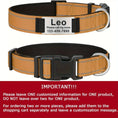 reflective dog collar | adjustable neoprene collar | padded breathable nylon collar | ultrasonic cleaning