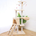 Cat Climber Cat House Meifu Market