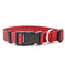 New Pet Collar Red - color variant display