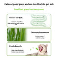 Lazy Cat Grass Canned Hydroponic Soilless Depilation Ball Digestive Snacks Meifu Market