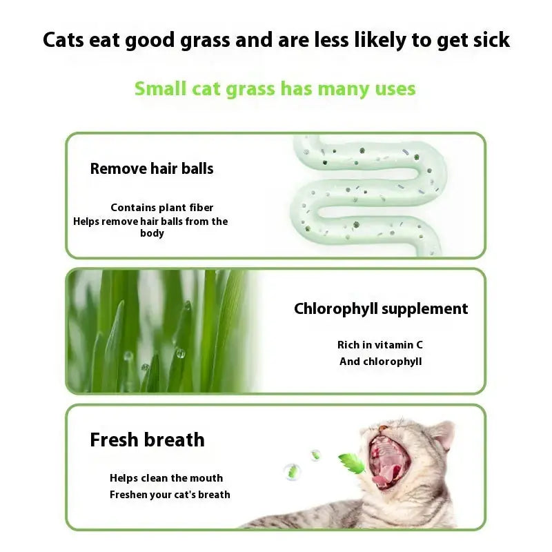 Lazy Cat Grass Canned Hydroponic Soilless Depilation Ball Digestive Snacks Meifu Market