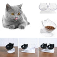 Cat Double Bowl Cat Food Bowl Protects Cervical Vertebra Meifu Market
