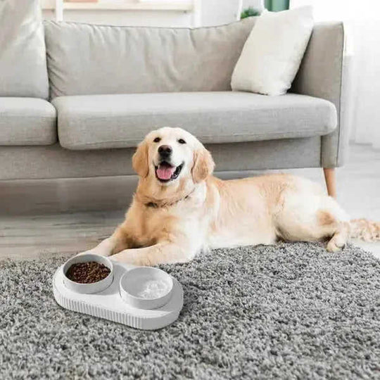 Heated Water Bowl For Dogs And Cats Ceramic Heated Pet Water Bowl White - front view 5