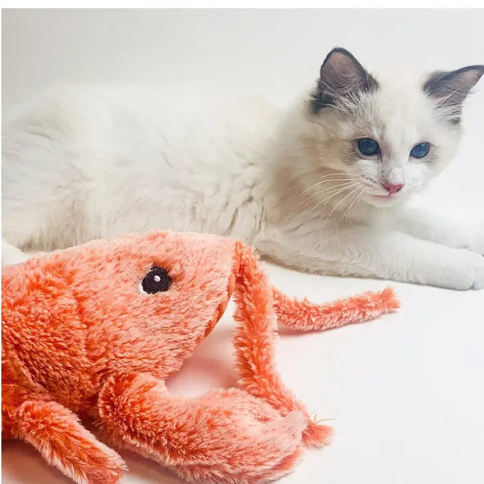 Pet Toys Electric Jumping Shrimp USB Charging Simulation Lobster Funny Cat Plush Pets Toy Meifu Market