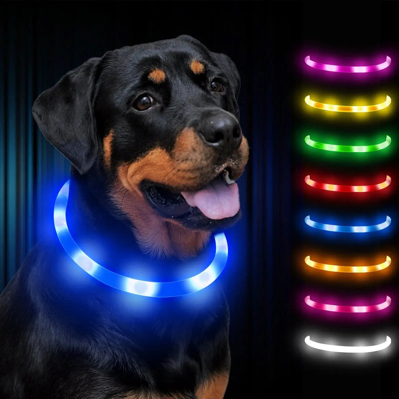 rechargeable pet collar | led dog collar | glowing cat collar | ultrasonic cleaning