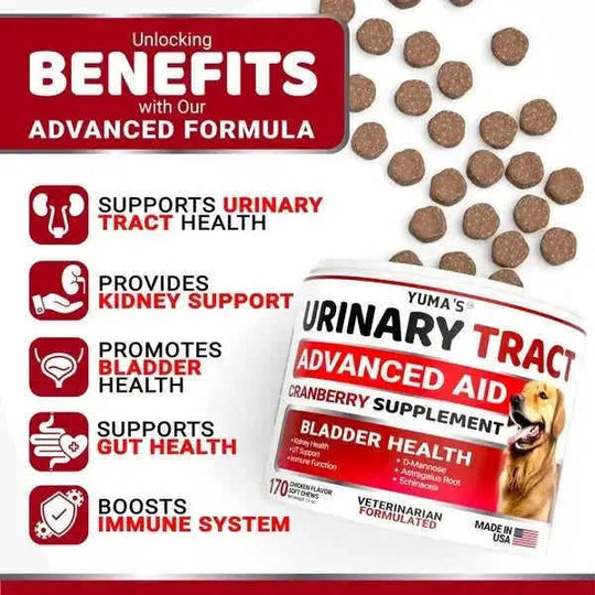 Dog UTI Treatment 170 Treats Cranberry Supplement For Dogs Bladder Control For Dogs 1PC - in use demonstration