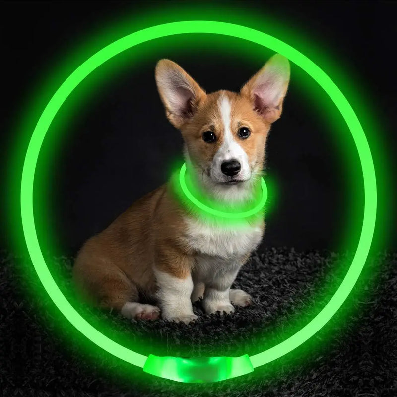 Pet Flashing Collar USB Rechargeable Glowing Necklace Safety Collar Light Up Collars For Night Walking Electric Dog Collar Neon Meifu Market