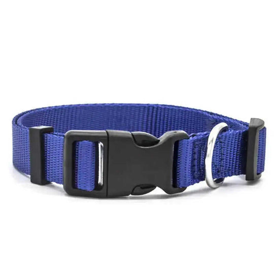 New Pet Collar Red - scale comparison view