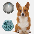 Slow Feeder Bowl - Anti-Choking Puzzle Dish for Dogs & Cats Meifu Market
