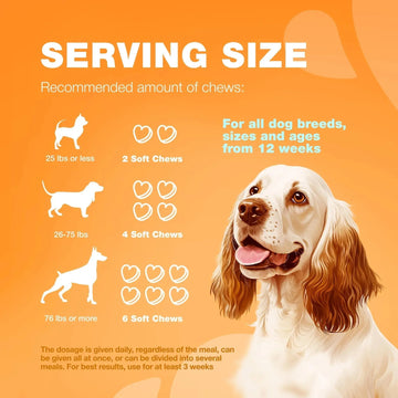 Dog Allergy Relief Chews Itch Relief For Dogs Anti Itch Dog Allergy Chews US Formulated Dog Itching Skin Relief With Salmon Oil Immune Health Seasonal Allergies & Hot Spots Support Treats